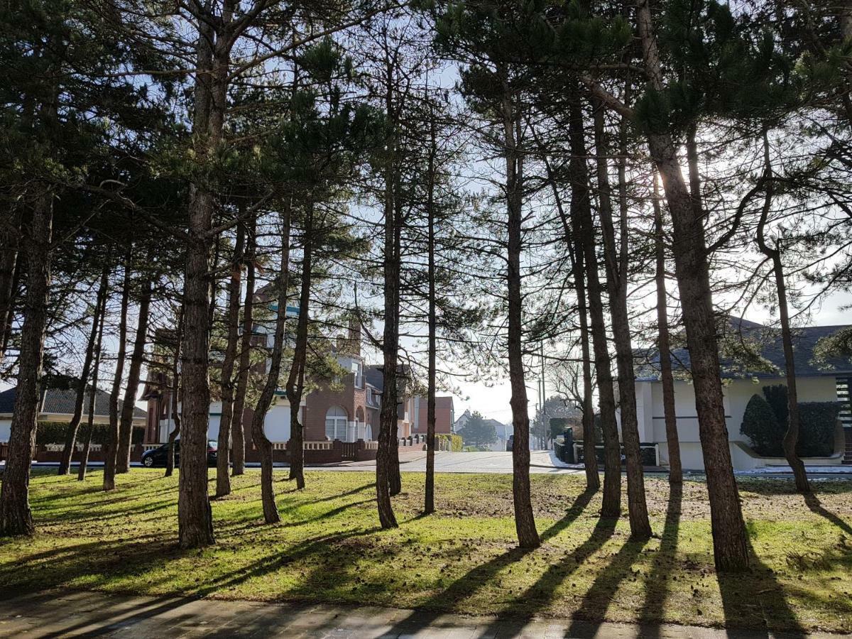 Sunny Days - App 60 M2 Avec Balcon, 4 Pers, 3E Etage, Au Calme Et Ensoleille Apartment Le Touquet Екстериор снимка